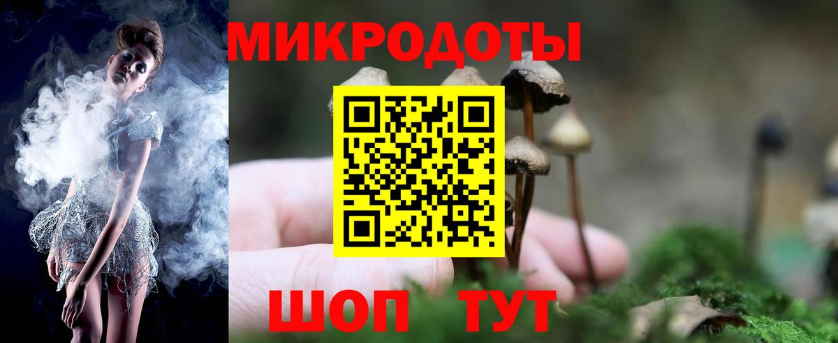 Галлюциногенные грибы прущие грибы Мариинск
